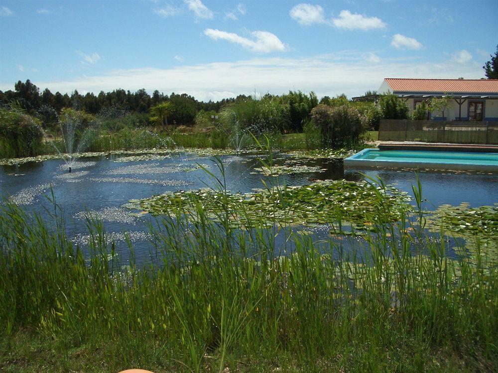 Casa Vicentina Alojamento de Turismo Rural